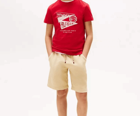 Quais camisetas infantis masculinas funcionam melhor com calça de sarja?
